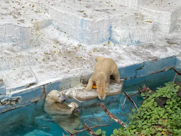 天王寺動物園に投稿された画像（2021/10/31）