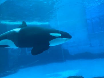 名古屋港水族館に投稿された画像（2021/10/31）