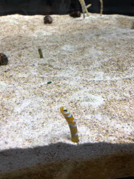 すみだ水族館に投稿された画像（2021/10/31）