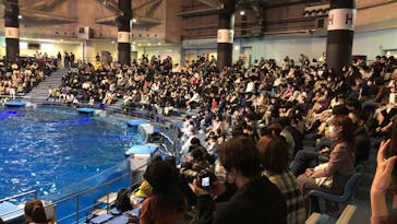 マクセル アクアパーク品川に投稿された画像（2021/10/31）