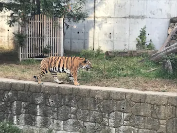 天王寺動物園に投稿された画像（2021/10/31）