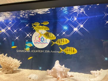 しながわ水族館に投稿された画像（2021/10/31）