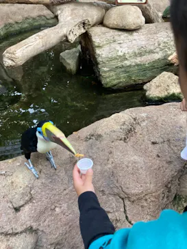 神戸どうぶつ王国に投稿された画像（2021/10/31）