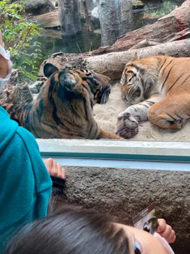 神戸どうぶつ王国に投稿された画像（2021/10/31）