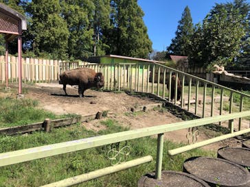 東武動物公園に投稿された画像（2021/9/20）