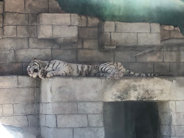 東武動物公園に投稿された画像（2021/9/20）