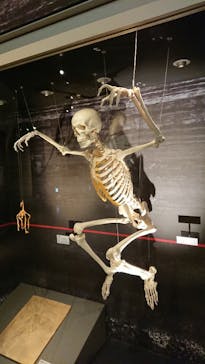 国立科学博物館に投稿された画像（2021/10/31）