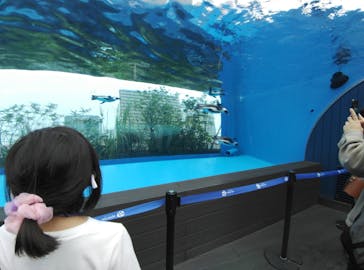 サンシャイン水族館に投稿された画像（2021/10/31）