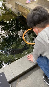 京都水族館に投稿された画像（2021/10/31）