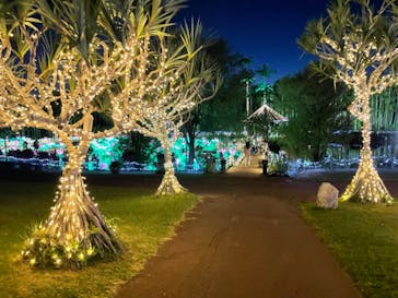 美らヤシパークオキナワ・東南植物楽園に投稿された画像（2021/10/31）