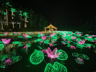 美らヤシパークオキナワ・東南植物楽園に投稿された画像（2021/10/31）