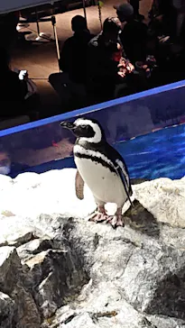 すみだ水族館に投稿された画像（2021/10/31）