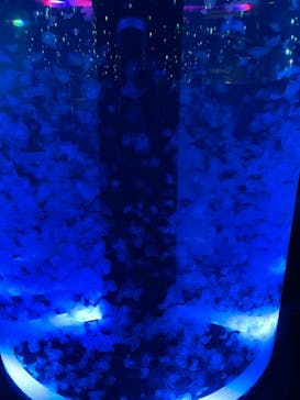 マクセル アクアパーク品川に投稿された画像（2021/10/31）