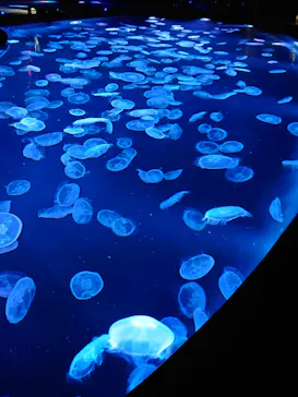 すみだ水族館に投稿された画像（2021/10/31）