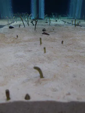 すみだ水族館に投稿された画像（2021/10/31）