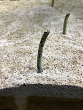 すみだ水族館に投稿された画像（2021/10/31）