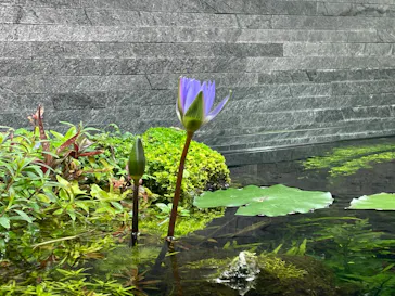 すみだ水族館に投稿された画像（2021/10/31）