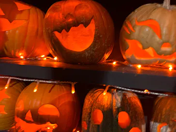 ひらかたパークに投稿された画像（2021/10/31）