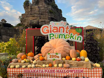 ひらかたパークに投稿された画像（2021/10/31）