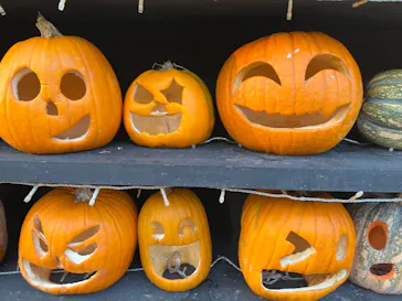 ひらかたパークに投稿された画像（2021/10/31）