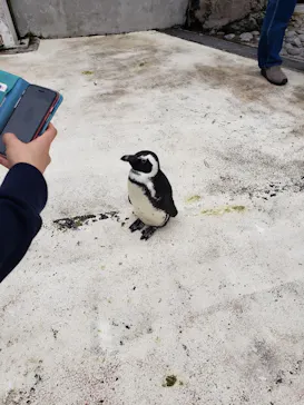 横浜・八景島シーパラダイスに投稿された画像（2021/10/31）