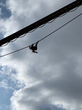 旭川市旭山動物園に投稿された画像（2021/10/31）