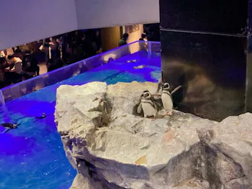 すみだ水族館に投稿された画像（2021/10/31）