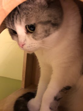 Moff animal world MARK IS みなとみらい店に投稿された画像（2021/10/31）