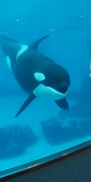 名古屋港水族館に投稿された画像（2021/10/31）