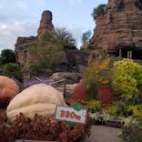 ひらかたパークに投稿された画像（2021/10/31）