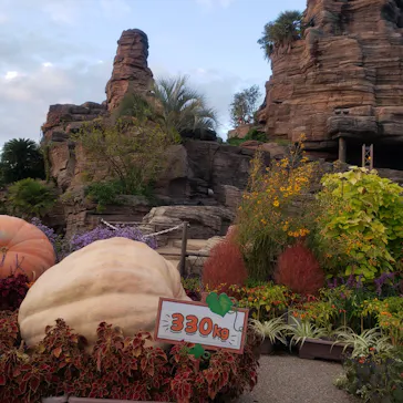 ひらかたパークに投稿された画像（2021/10/31）