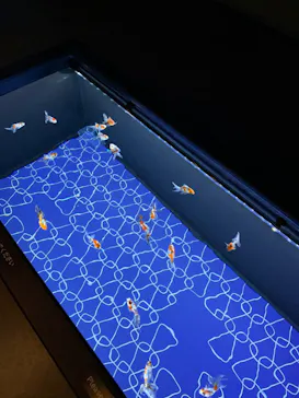 すみだ水族館に投稿された画像（2021/10/31）