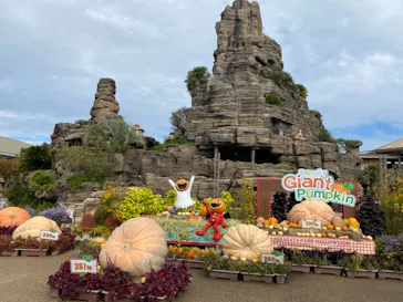 ひらかたパークに投稿された画像（2021/10/31）