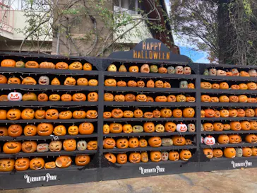 ひらかたパークに投稿された画像（2021/10/31）