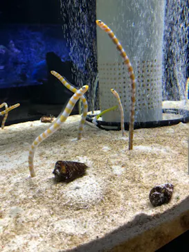 すみだ水族館に投稿された画像（2021/10/31）