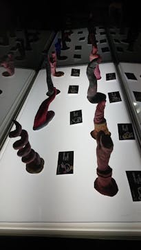 サンシャイン水族館に投稿された画像（2021/10/31）