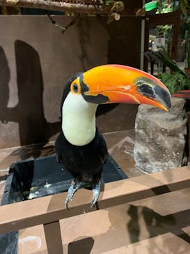 Moff animal world MARK IS みなとみらい店に投稿された画像（2021/10/31）