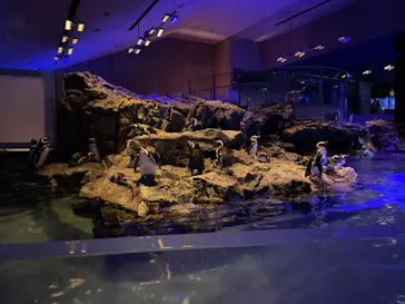 すみだ水族館に投稿された画像（2021/10/31）