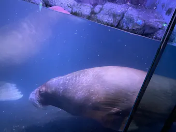 横浜・八景島シーパラダイスに投稿された画像（2021/10/31）