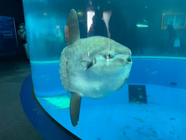 横浜・八景島シーパラダイスに投稿された画像（2021/10/31）