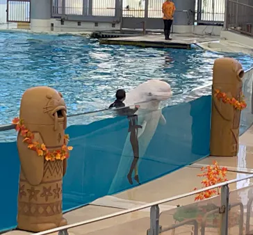 横浜・八景島シーパラダイスに投稿された画像（2021/10/31）