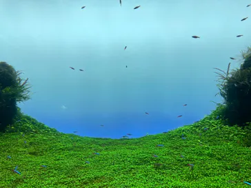 すみだ水族館に投稿された画像（2021/10/31）