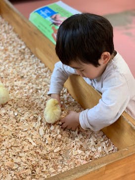 東武動物公園に投稿された画像（2021/10/31）