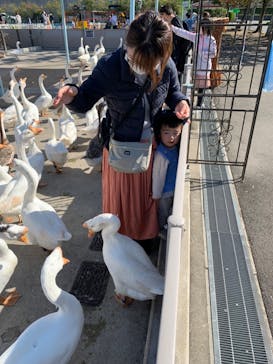 東武動物公園に投稿された画像（2021/10/31）