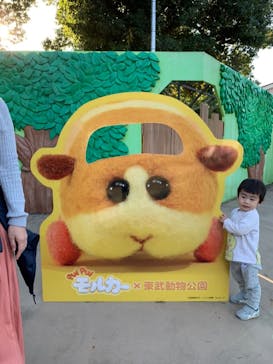 東武動物公園に投稿された画像（2021/10/31）