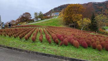 湯沢高原スキー場/パノラマパークに投稿された画像（2021/10/31）