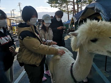 八ヶ岳アルパカ牧場に投稿された画像（2021/10/31）