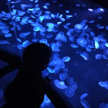 すみだ水族館に投稿された画像（2021/10/31）