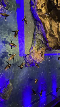 すみだ水族館に投稿された画像（2021/10/31）