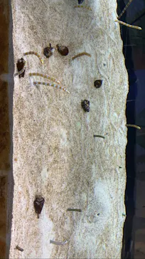 すみだ水族館に投稿された画像（2021/10/31）